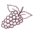 Alavot Grape Icon